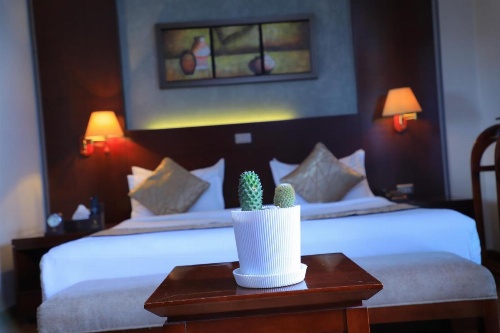 Sidra International Hotel image 26